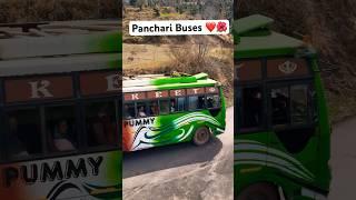 Jk Superfast ️ Panchari Udhampur Road #shorts  #jammu #gojariaong #himachalisong