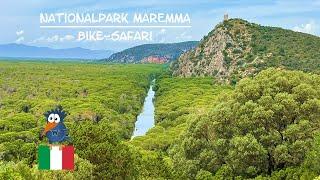 Bike Safari PARCO NATIONALE DELLA MAREMMA | Toskana Italien