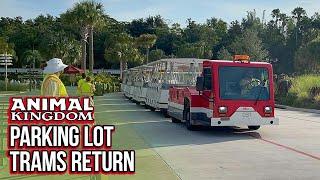 Parking Lot Trams Return to Disney's Animal Kingdom