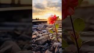 Отношения#рекомендации #мудрыеслова #любовь #мышление #вдохновение#саморазвитие#отношения#мотивация
