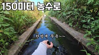 150미터 농수로 족대질 한방에 싹 긁어 모으면 뭐가 잡힐까..!?