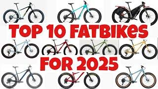 Top 10 Fat Bikes of 2025