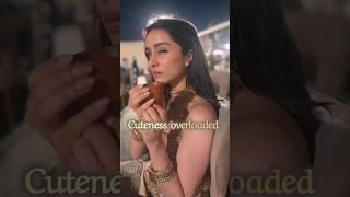 Shraddha Kapoor's cute moments  #shortsfeed #wedding #shorts #viralvideo #birthday #youtubeshorts