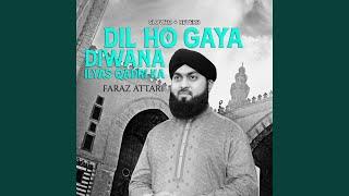 Dil Ho Gaya Diwana Ilyas Qadri Ka (Lofi-Mix)