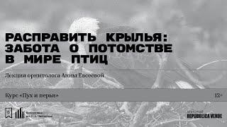 «Расправить крылья: забота о потомстве в мире птиц». Лекция орнитолога Анны Евсеевой