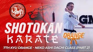 Shotokan Karate - 7th Kyu - Orange Belt - Neko Aski Dachi Class (Part 2)