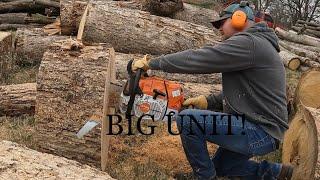 Stihl's Largest Chainsaw In The Woodyard! Stihl 881! #stihl881 #husqvarna592xp #stihl661