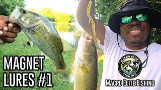 This Lure Is A Bass Magnet on Pressured Lakes - MAGNET LURES #1