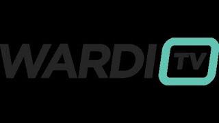 Турнир по StarCraft II: Legacy of the Void (LotV) WardiTV Mondays #20 (27.01.2025)