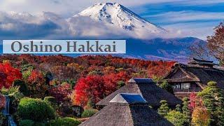 Mt Fuji World Heritage Site Oshino Hakkai | #oshinohakkai #忍野八海 #fuji #富士山