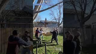 Mountain Lion removed from Pocatello neighborhood  #Pocatello #mountainlion