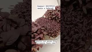 Символ бессмертия #АМАРАНТ - его микрозелень идеална в  #декор блюд ресторанов, баров, кафе. #огород
