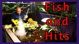 Friday Night Fish N Hits w/ Dan