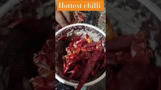 To much hot #thecookjoshi #food #chilli