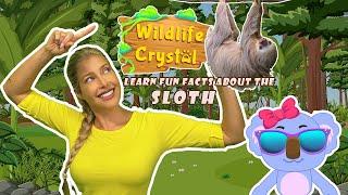 Sloth Facts