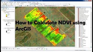 How to generate a NDVI layer in ArcGIS | How to calculate NDVI using ArcGis