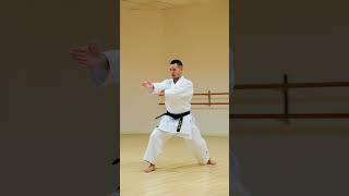 KANKU DAI | Shotokan Karate Kata 