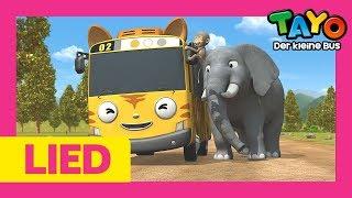 Tayo Lied l Ein Safari Abenteuer l Lied für Kinder l Tayo Der Kleine Bus