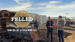 Felled - Giving Life To Fallen Urban Trees - FULL DOCUMENTARY