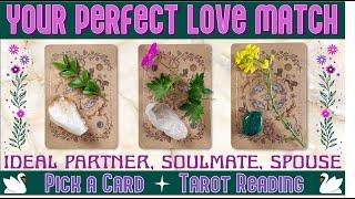 PICK A CARD ️ YOUR PERFECT PARTNER ️ IDEAL MATCH REVEAL #pickacard #tarot #lovereading #soulmate