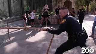 SAPD Tug-o-War with Lions!