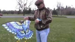 Tips for flying a kite