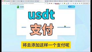 宝塔平台快速搭建USDT支付系统：一站式教程