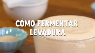 CÓMO FERMENTAR LEVADURA