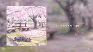 망고팔트 (MangoPhalt) - 사랑은 꽃잎처럼 내게 날아와 (Official) [Lyric Video]