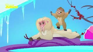 The Lion Guard | Music Compilation | Disney Junior Arabia