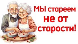 Сильный стих "Мы стареем не от старости" Александр  Евтушенко стихи/ поэзия