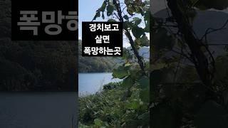 절대 피해야할 최악의 집터 #풍수 #풍수인테리어 #이것