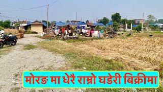 Morang | cheap land for sale at Khorsaney Bajar@itahariRealEstate