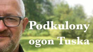 Podkulony ogon Tuska