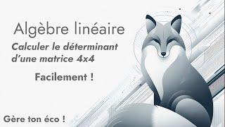 Calculer le déterminant d'une matrice 4x4