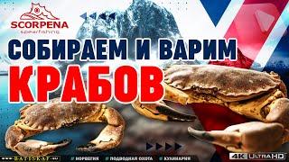 Собираем в море крабов а потом варим.Рецепт приготовления или крабовая кулинария