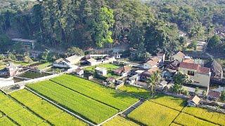 Bikin Tercengang ‼️Melihat Air Jernih Melimpah Di Kampung Kancra Sumedang, Ikannya Besar Besar