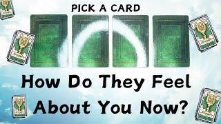 PICK A CARD  How Do They Feel About Me Now? 