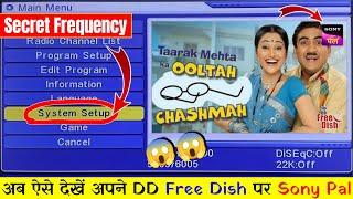 Sony Pal DD Free Dish Par Kaise Laye 2024 | DD Free Dish New Update Today | Sony Pal | Free Dish