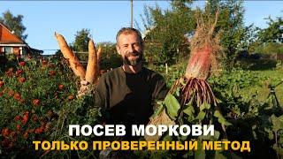 МОРКОВЬ ВЫРАСТЕТ КРУПНОЙ И ЗДОРОВОЙ БЕЗ ПРОБЛЕМ. Мой метод посева моркови.