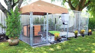 The Ultimate Dog Kennel System @ Caona Bully Kennels  2020 Yard Tour, Kennel Setups and Upgrades