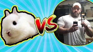 I debate the newest PRESUP on the block (Tom Rabbittt vs Zach)