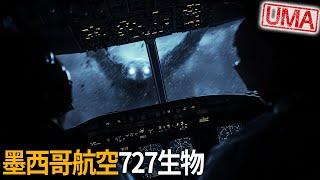 「墨西哥航空727生物」，1990年真實發生於3萬英尺高空上，機組人員在機翼及駕駛艙目擊緊貼飛機的不明人形生物。