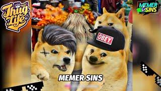 THUG LIFE MEMES | CHEEMS DOG MEMES | MEMER SINS