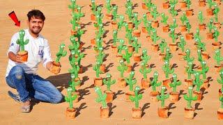 Talking With 100 Talking Cactus - Worth ₹50000/-