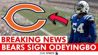 Chicago Bears Sign Dayo Odeyingbo In 2025 NFL Free Agency | Bears News & Reaction