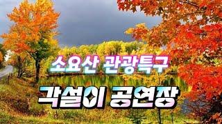   소요산 관광특구  보아품바  신연수품바  햇별이품바 나진아 품바  ️각설이 공연장  12월15일(일)