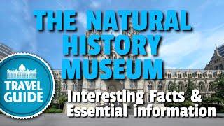 Visiting THE NATURAL HISTORY MUSEUM in London | A Travel Guide