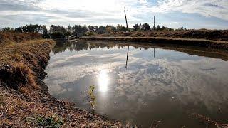 Разведение раков в огороде , что получилось за три года?)  Жизнь У Пруда