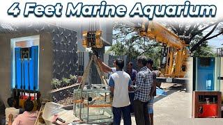 Building a Stunning 4ft Marine Aquarium | Step-by-Step Guide for Saltwater Enthusiasts 